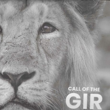 CALL OF THE GIR
