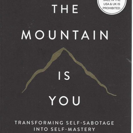 THE MOUNTAIN IS YOU