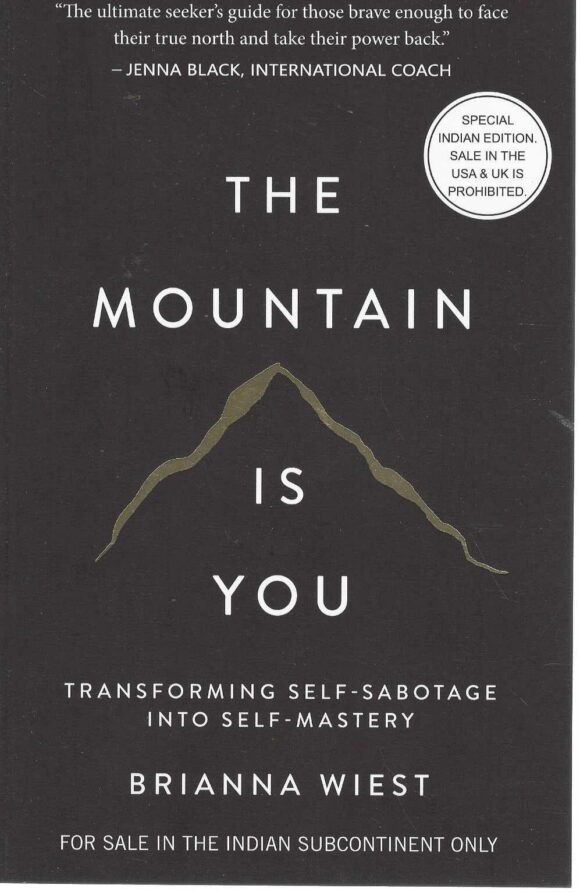 THE MOUNTAIN IS YOU