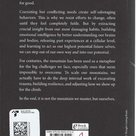 THE MOUNTAIN IS YOU - Image 2