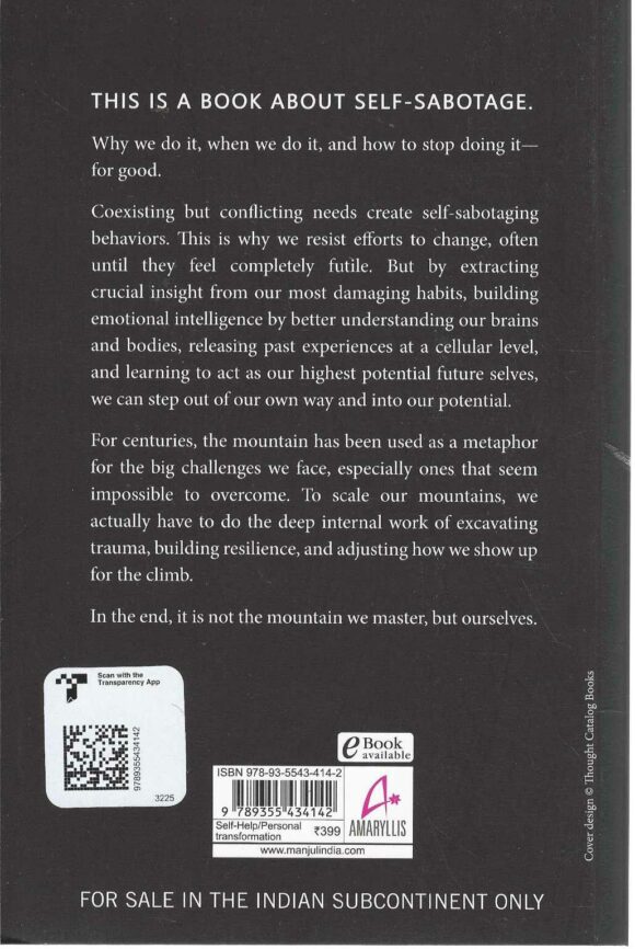 THE MOUNTAIN IS YOU - Image 2