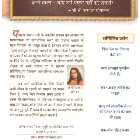 Divya Prem-Leela (Hindi) - Image 2
