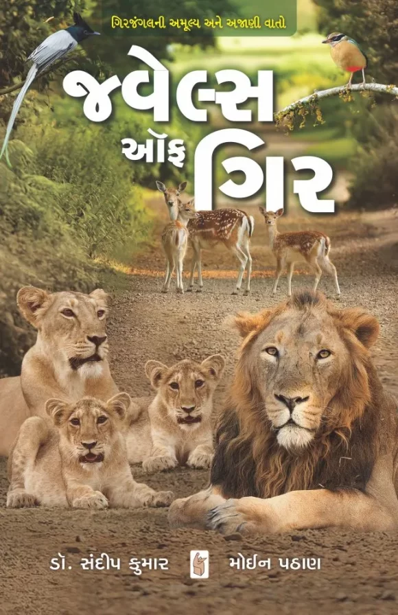 JEWELS-OF-GEER (GUJARATI)