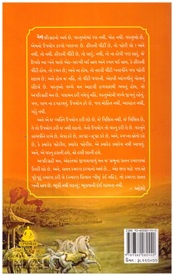 KRUSHNANO SANYAS  UTSAVPURNA SANYAS - Image 2