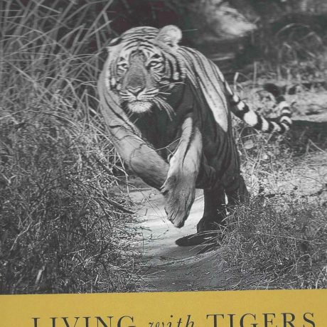 LIVING WITH TIGERS