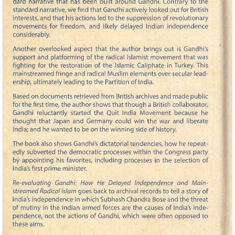 Re-Evaluating Gandhi? - Image 2