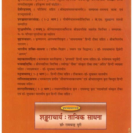 Saundarya Lahari - Image 2