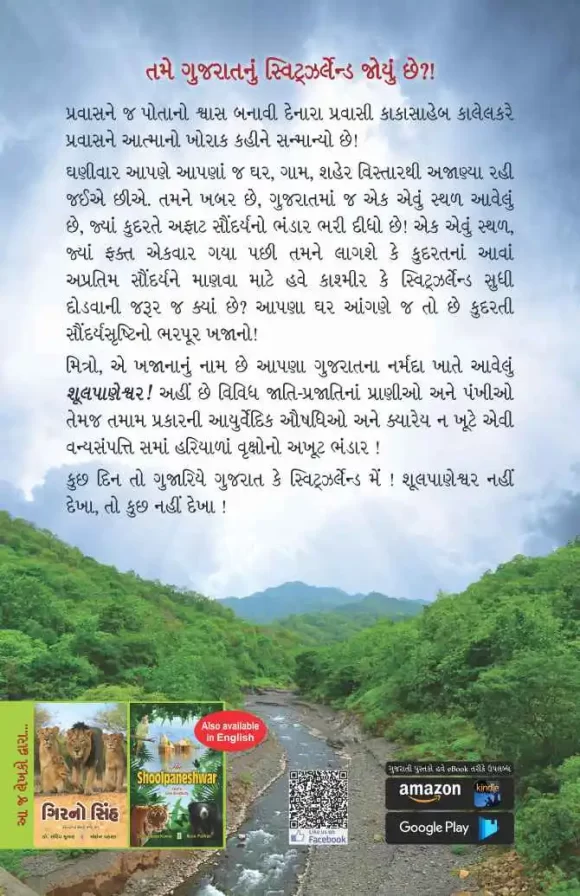 SHULPANESHWAR - Image 2