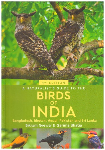 Birds Of India