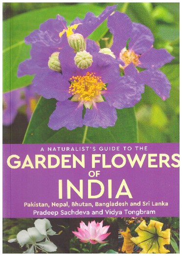 The Garden Flower Of India